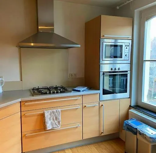 Cute Central Flat In Brussels